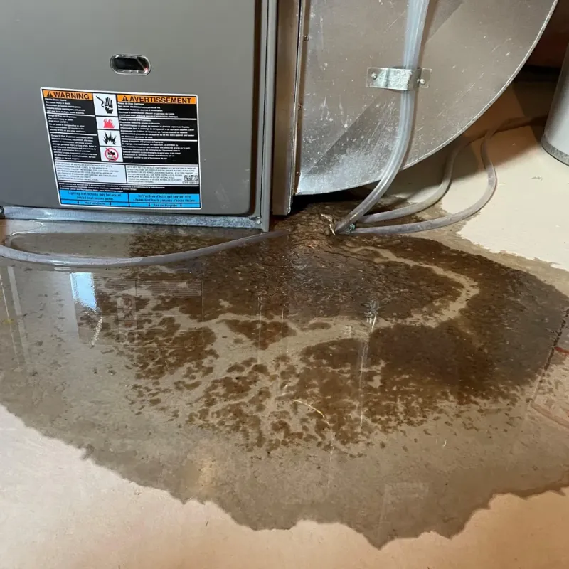 Appliance Leak Cleanup in Scotland County, NC